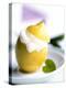 Lemon Sorbet in a Hollowed-out Lemon-Alena Hrbkova-Premier Image Canvas