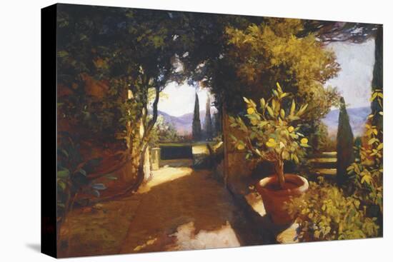 Lemon Tree Verona-Philip Craig-Stretched Canvas