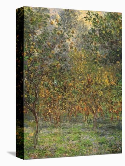 Lemon Trees, 1884-Claude Monet-Premier Image Canvas