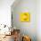 Lemon-Mark Sykes-Premier Image Canvas displayed on a wall