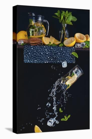 Lemonade From The Top Shelf-Dina Belenko-Stretched Canvas