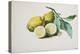 Lemons, 1840-Pierre-Joseph Redouté-Premier Image Canvas