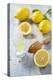 Lemons, Citrus-Press and Juice-Jana Ihle-Premier Image Canvas