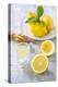 Lemons, Citrus-Press and Juice-Jana Ihle-Premier Image Canvas
