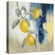 Lemons From the South I-Silvia Vassileva-Stretched Canvas