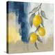 Lemons From the South II-Silvia Vassileva-Stretched Canvas