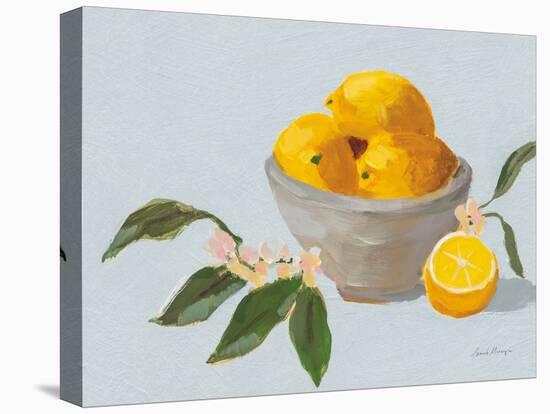 Lemons in Grey Bowl Blue Texture-Pamela Munger-Stretched Canvas