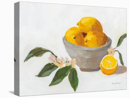 Lemons in Grey Bowl-Pamela Munger-Stretched Canvas