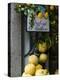 Lemons, Positano, Amalfi Coast, Campania, Italy-Walter Bibikow-Premier Image Canvas