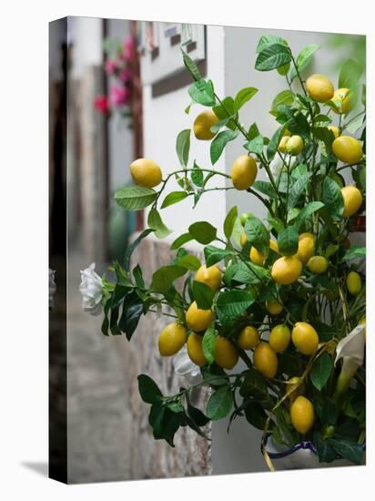 Lemons, Positano, Amalfi Coast, Campania, Italy-Walter Bibikow-Premier Image Canvas