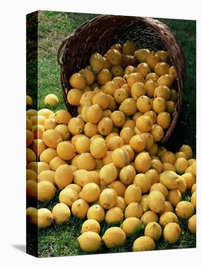 Lemons Spilling from a Basket, Lemon Festival, Menton, Provence, France-Ruth Tomlinson-Premier Image Canvas