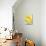 Lemons-Alena Hrbkova-Premier Image Canvas displayed on a wall