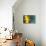 Lemons-Karyn Millet-Premier Image Canvas displayed on a wall