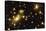 Lensed Galaxies-null-Premier Image Canvas