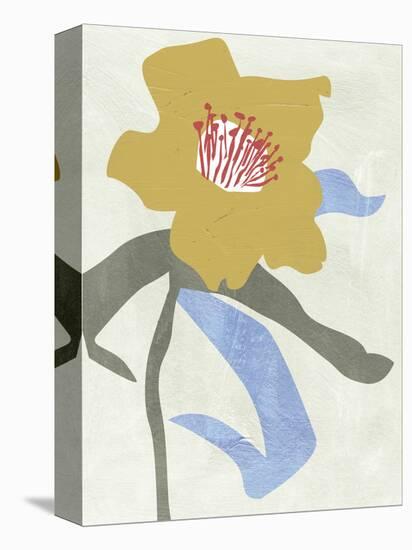 Lenten Rose I-Melissa Wang-Stretched Canvas