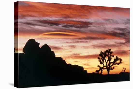Lenticular Cloud, Joshua Tree NM, Sunset-David Nunuk-Premier Image Canvas
