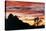 Lenticular Cloud, Joshua Tree NM, Sunset-David Nunuk-Premier Image Canvas