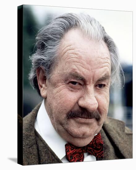 Leo McKern - Rumpole of the Bailey-null-Stretched Canvas