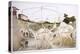 Leonardo 18 (drawing)-Ralph Steadman-Premier Image Canvas