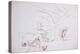 Leonardo 86 (drawing)-Ralph Steadman-Premier Image Canvas