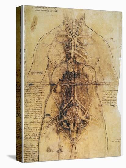 Leonardo: Anatomy, C1510-Leonardo da Vinci-Premier Image Canvas