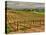 Leoness Cellars, Temecula, California, USA-Richard Duval-Premier Image Canvas