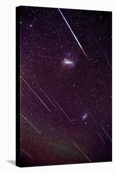 Leonid Meteors-Dr. Fred Espenak-Premier Image Canvas