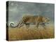 Leopard 2-Harro Maass-Premier Image Canvas