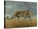 Leopard 2-Harro Maass-Premier Image Canvas