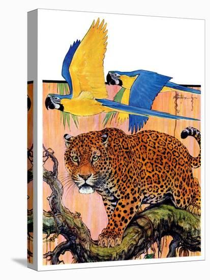 "Leopard and Parrots in Jungle,"September 2, 1933-Paul Bransom-Premier Image Canvas