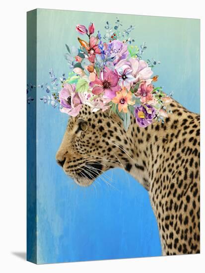 Leopard Beauty-Marcus Prime-Stretched Canvas