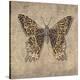 Leopard Butterfly-Jennette Brice-Stretched Canvas