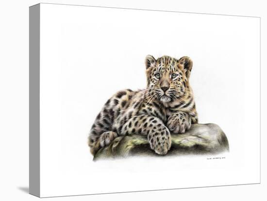 Leopard Cub-Sarah Stribbling-Stretched Canvas