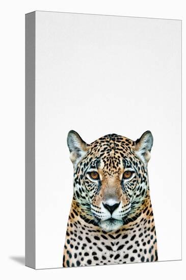 Leopard II-Tai Prints-Stretched Canvas