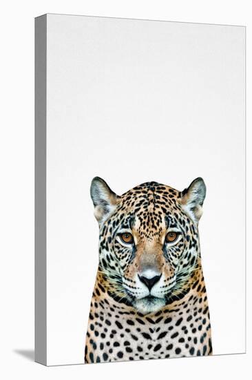 Leopard II-Tai Prints-Stretched Canvas