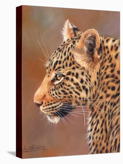 Leopard looking left-David Stribbling-Stretched Canvas