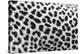 Leopard Patterns-null-Stretched Canvas