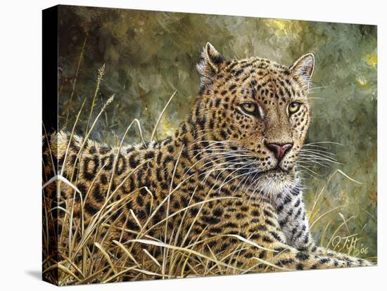 Leopard Portrait-Jeff Tift-Premier Image Canvas