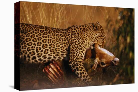 Leopard with Impala Kill-null-Premier Image Canvas