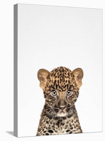 Leopard-Tai Prints-Premier Image Canvas