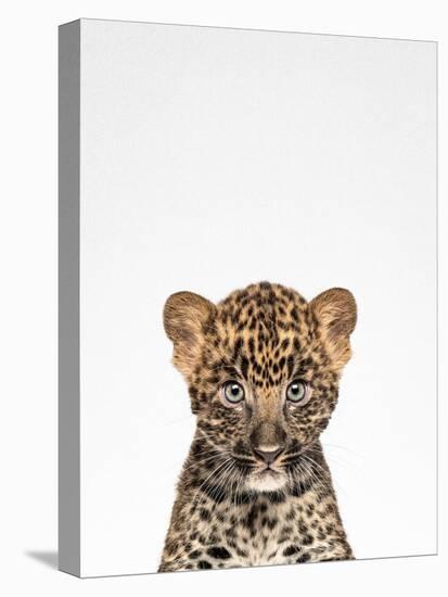 Leopard-Tai Prints-Premier Image Canvas