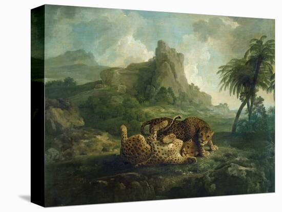 Leopards at Play, c.1763-8-George Stubbs-Premier Image Canvas