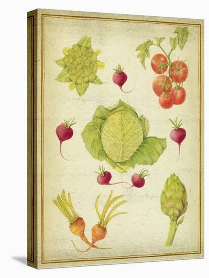 Les Beaux Légumes (The Beautiful Vegetables) Vintage-Deborah Kopka-Premier Image Canvas