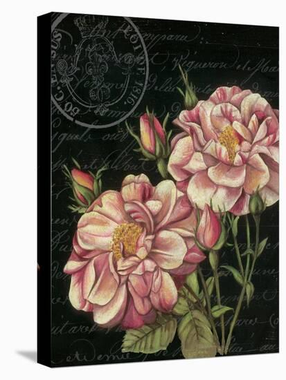 Les Jardin Roses-Kimberly Poloson-Stretched Canvas