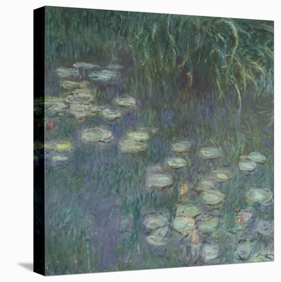 Les Nymphéas : Matin-Claude Monet-Premier Image Canvas