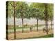 Les Promenade des Marronniers, St Cloud, 1878-Alfred Sisley-Premier Image Canvas