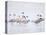 Lesser Flamingoes in Fog-Arthur Morris-Premier Image Canvas