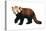 Lesser Panda (Aelurus Fulgens), Mammals-Encyclopaedia Britannica-Stretched Canvas