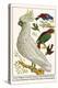 Lesser Sulphur-Crested Cockatoo, Hawk Headed Parrot, Tri-Colored Blackbird, Heleted Manakin, etc.-Albertus Seba-Stretched Canvas