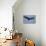 Lesser Yellow-Headed Vulture-Joe McDonald-Premier Image Canvas displayed on a wall